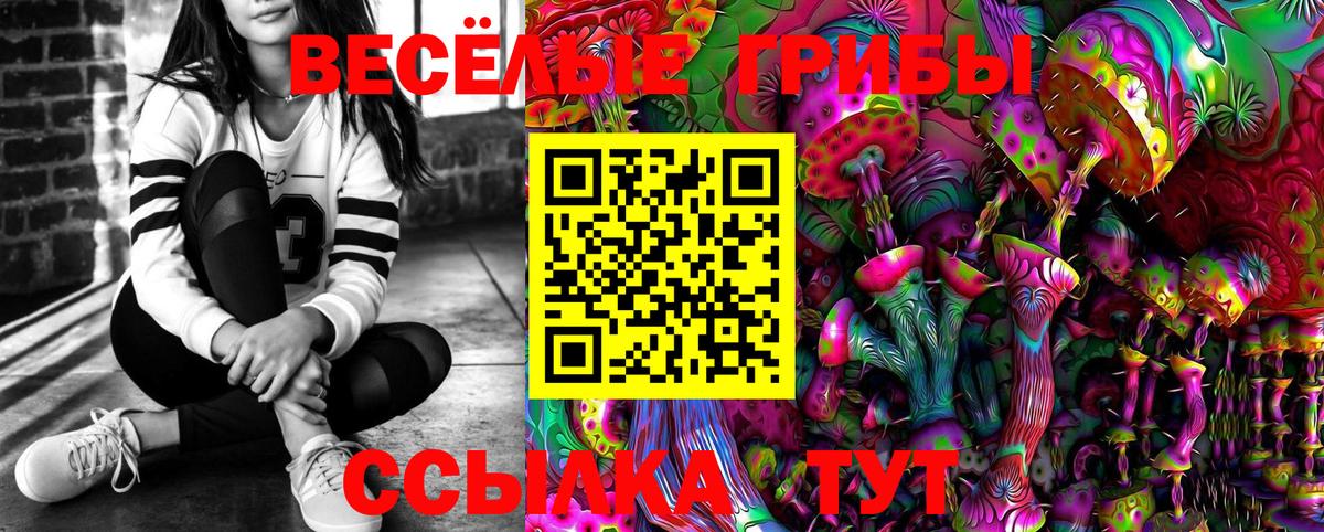 Псилоцибиновые грибы GOLDEN TEACHER Каменка