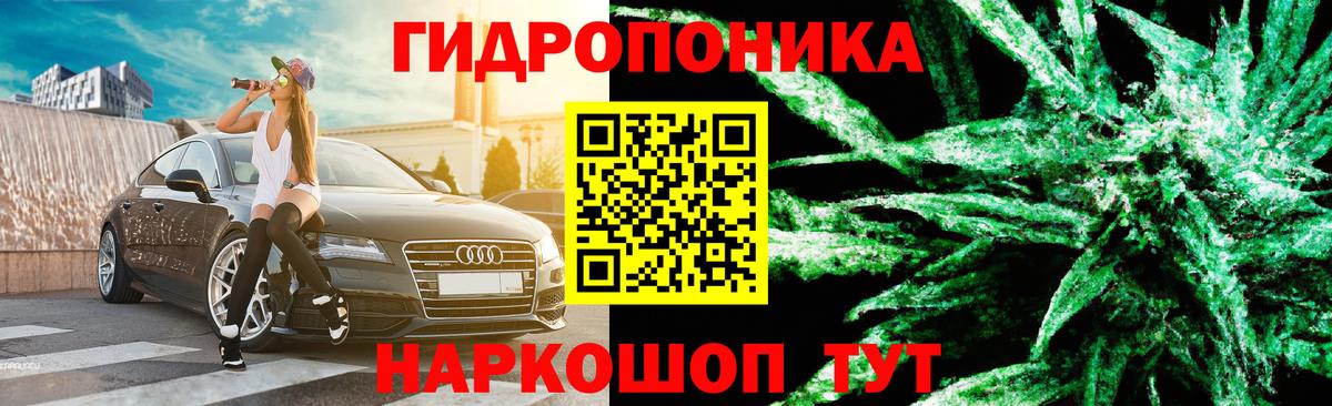 Бошки марихуана марихуана  Вход с VPN  МАРИХУАНА конопля  Каменка  Конопля индика 